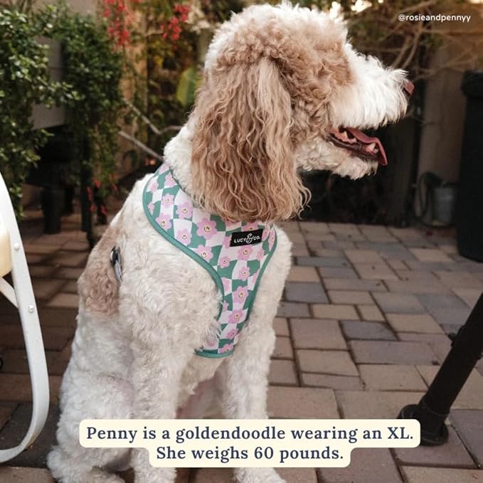 Lucy & Co. Cute Reversible Dog Harness Walking Halter - Best Designer Pet Harnesses for XS - XL Dogs - Padded Adjustable Vest for Easy Walking. (Just Chill Reversible Harness).