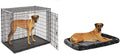 MidWest Homes for Pets XXL Giant Dog Crate w/ Matching Crate Bed