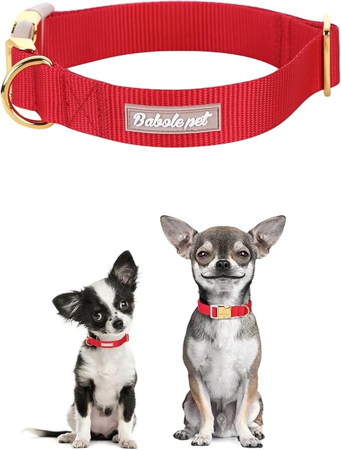 Nylon Dog Collar - Adjustable Burgundy Red Soft Webbing Dog Collars for Small Medium Large Dogs Boy Girl Puppy Collar with Safety Metal Buckle XS