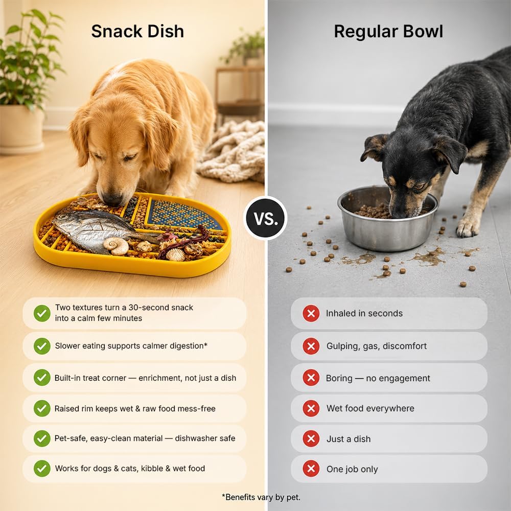 Snack Dish Slow Feeder Bowl for Dogs & Cats – Dual Pattern Design with Treat Corner, Mess-Free Feeding, Dishwasher Safe | Kubi Pets