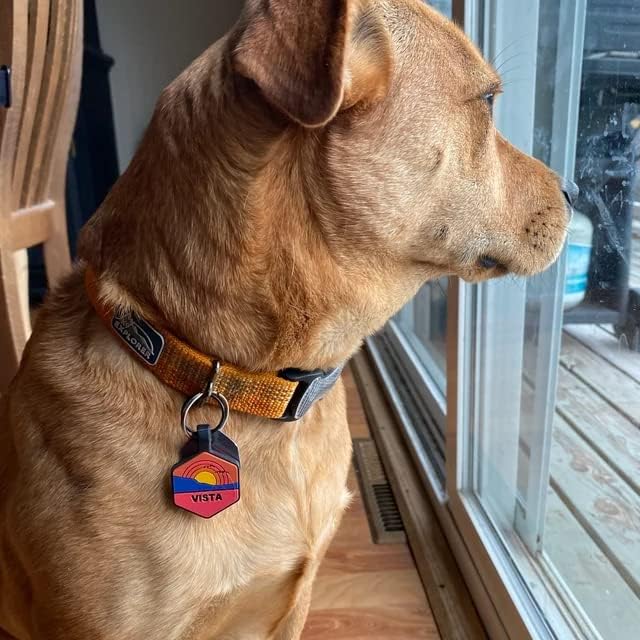 Silent Dog Tag Personalized with 5 Lines of Custom Deep Engraved Durable Soundless Silicone Pet ID Name Tag Round Beach Blue
