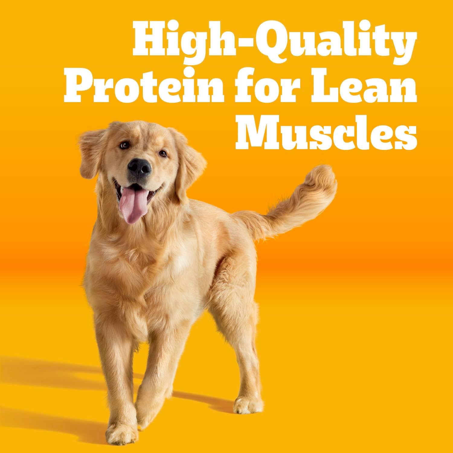 Pedigree High Protein Adult Dry Dog Food, Beef and Lamb, 18 lb | Real red meat, 25% more protein, 36 vitamins & minerals, prebiotic fiber, Omega 6 & Zinc, 100% complete & balanced