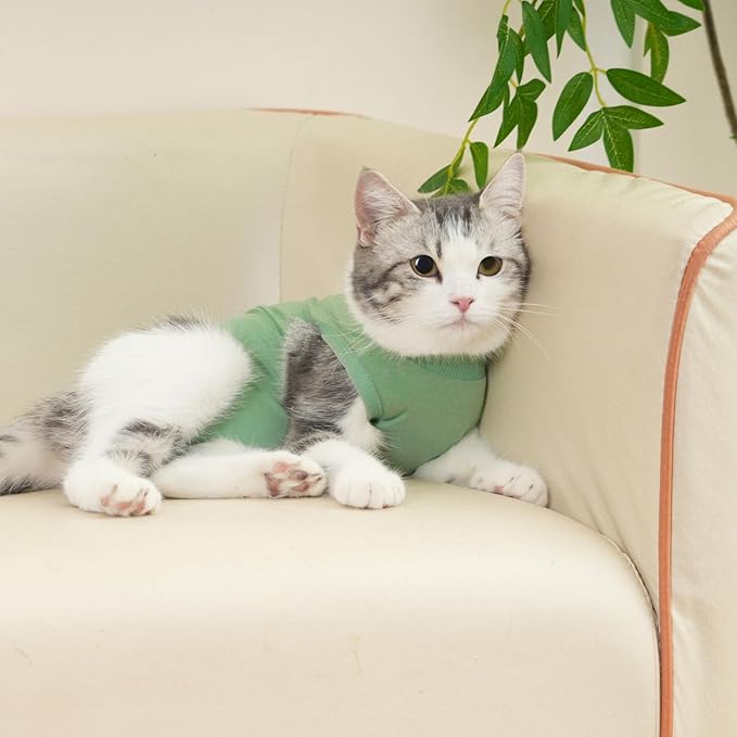 Cat Recovery Suit Cat Onesie for Cats After Surgery Female Male Spay Kitten Neuter Surgical Bodysuit Post Surgery Cone of Shame Alternative Anti Licking (Green, Small)