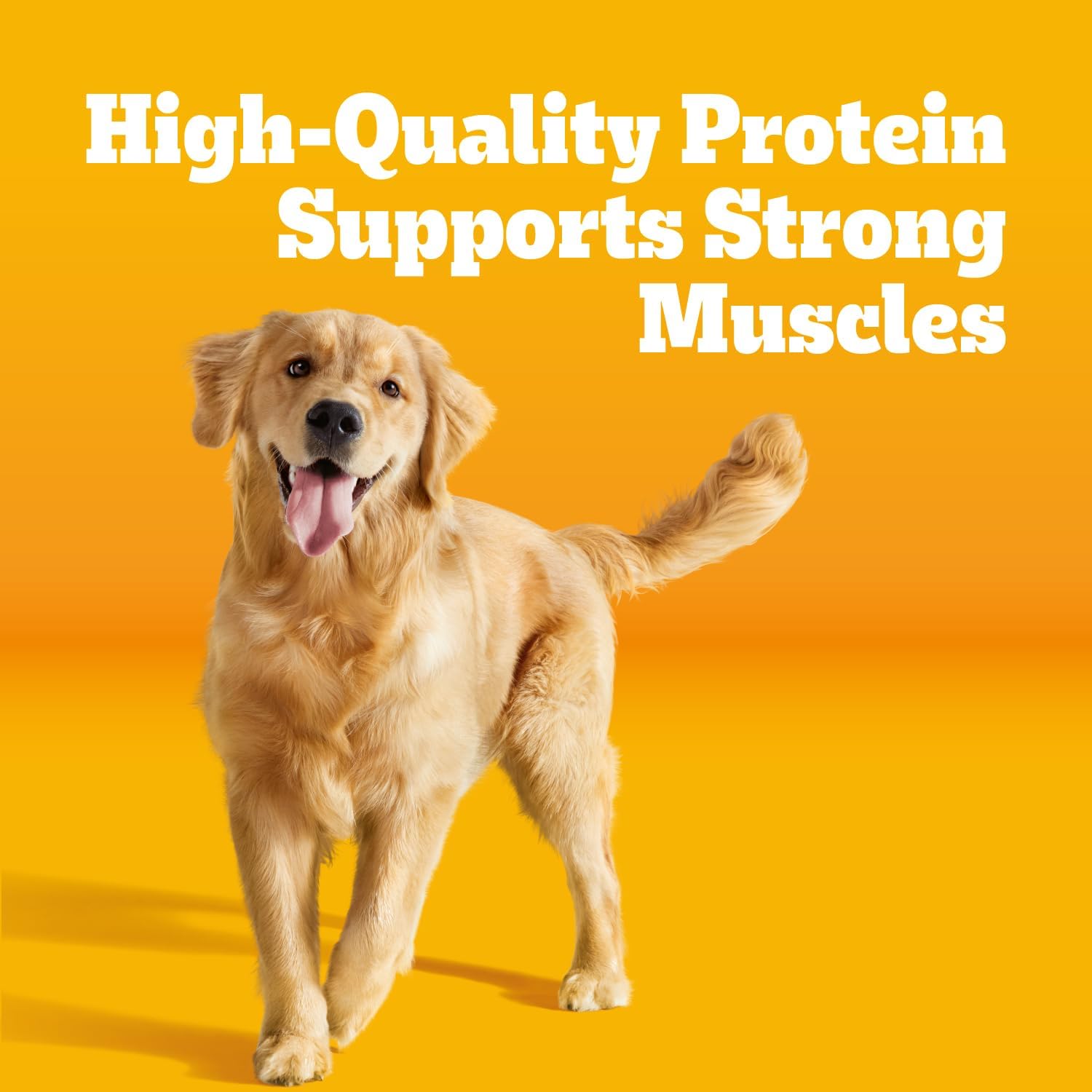 Pedigree Complete Nutrition Dry Dog Food, Chicken & Vegetable, 18 lb | Nutrient boost, prebiotic fibers, 36 vitamins & minerals, Omega 6 & Zinc, natural flavors, supports skin & coat