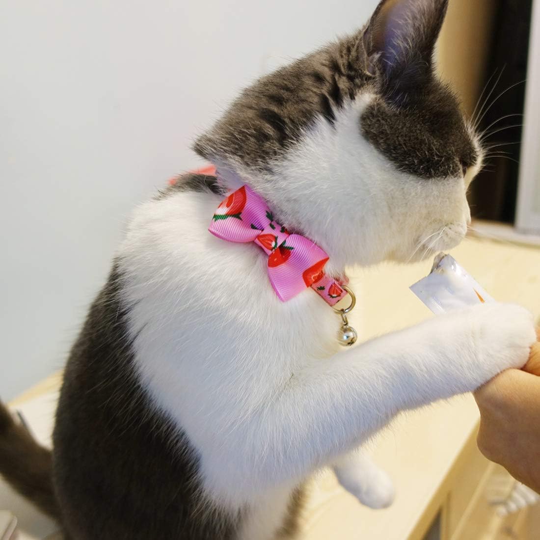 azuza 2 Pack Cat Collars with Bells, Safety Breakaway Buckle, Cute Fruits | Safety Breakaway Buckle, Removable Bell, 2 Pack Fruits Bowtie Design, Soft Nylon Material, Adjustable Fit for Boy Gir Cats
