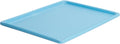 MidWest Homes for Pets, Dog Crate Replacement Pan for- 24-Inch Blue iCrate, Also Fits New World, Regular 24-Inch iCrates and Life Stages Dog crates, (Model-26BPan), Blue