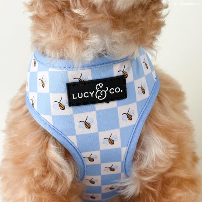 Lucy & Co. Bumbling Around Reversible Dog Harness, Adjustable Comfort Fit with Dual Leash Attachments, X-Large