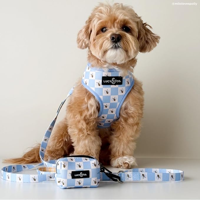 Lucy & Co. Bumbling Around Reversible Dog Harness, Adjustable Comfort Fit with Dual Leash Attachments, X-Large