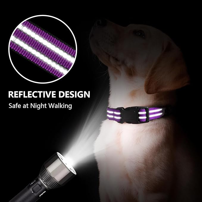 Martingale Dog Collar, Adjustable Nylon Reflective Collar with Quick Release Buckle (Real Purple, Small)