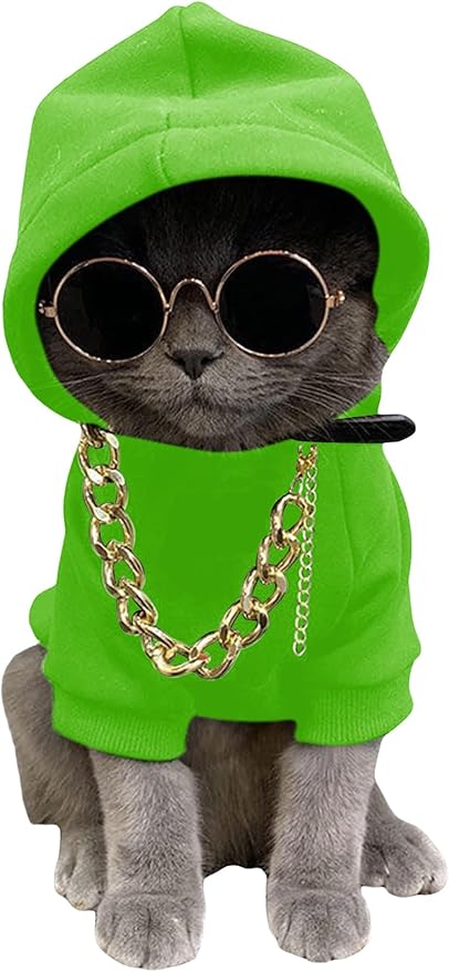 QWINEE 3Pcs Dog Hoodie Cat Apparel Dog Custume Set with Necklace and Sunglasses Pet Clothes for Puppy Small Medium Dogs Cats Green X-Large