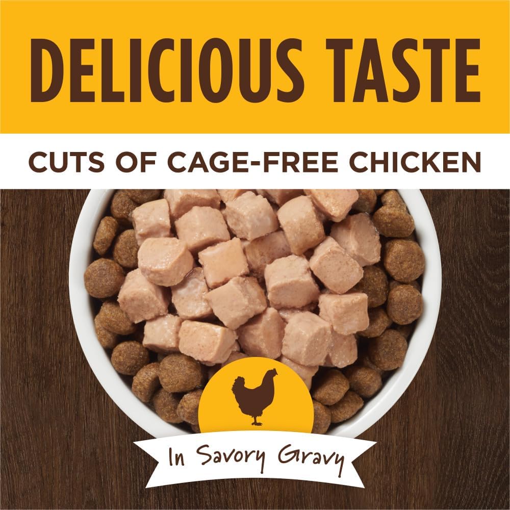 Instinct Healthy Cravings Natural Wet Dog Food Topper, Grain Free Recipe - Real Chicken, 3 oz. Pouches (Pack of 24)
