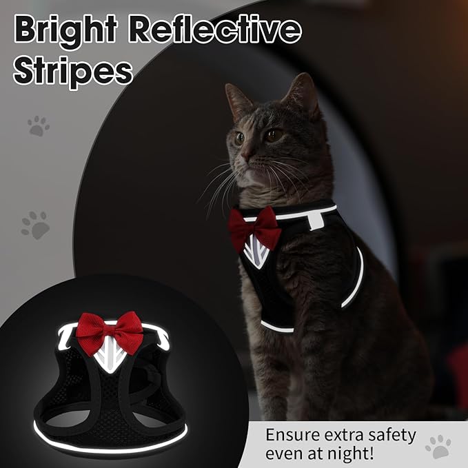 Cat Vest Harness and Leash Set for Walking Escape Proof, Adjustable Kitten Harness Breathable Mesh with Reflective Strips Harness for Kitty Puppy Bunny (Black,XS)