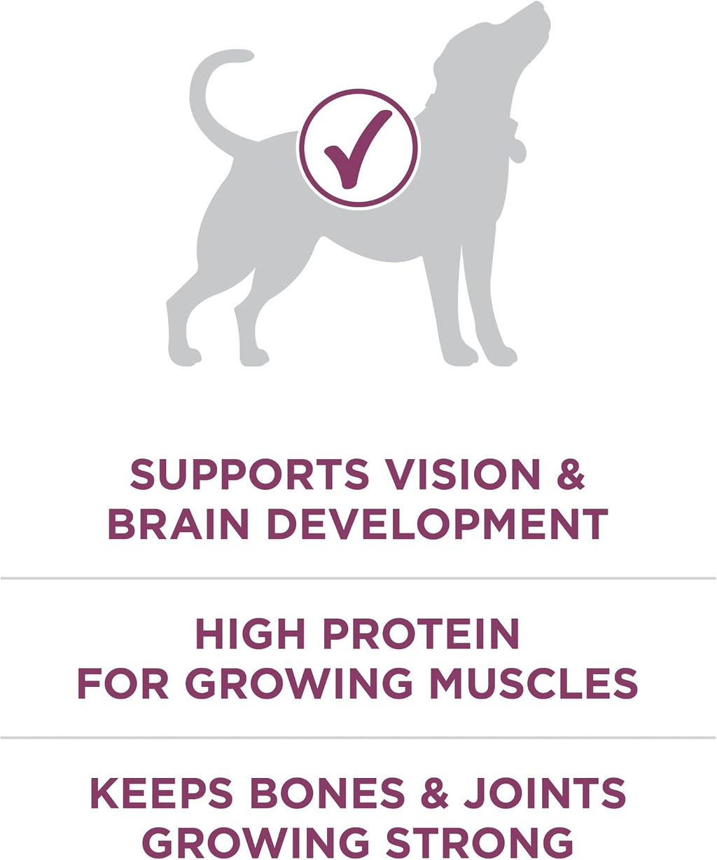 Purina ONE Plus Healthy Puppy Dry Food, Chicken, 31.1 lb Bag | High protein formula with real chicken, DHA to support vision and brain development and antioxidants for immune support