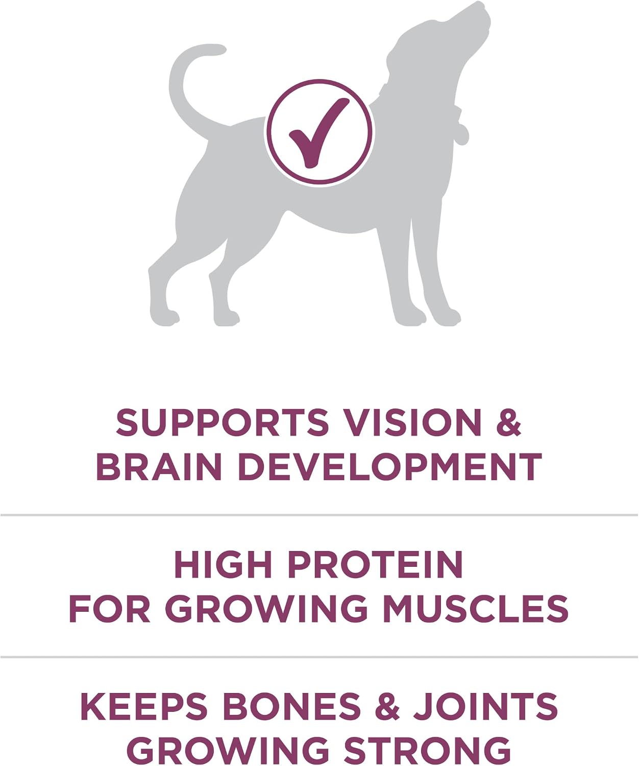Purina ONE Plus Healthy Puppy Dry Food, Chicken, 31.1 lb Bag | High protein formula with real chicken, DHA to support vision and brain development and antioxidants for immune support