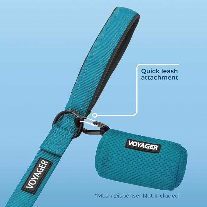 Best Pet Supplies Voyager Reflective Dog Leash or Collar with Neoprene Handle, for Small, Medium, and Large Breed Puppies, Cute and Heavy Duty for Walking, Running and Training - Turquoise Leash, L