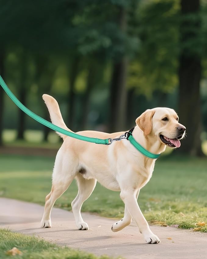 Joytale Reflective Dog Collar, Adjustable Nylon Pet Collar with Quick-Release Buckle for Medium Dogs, Teal, M