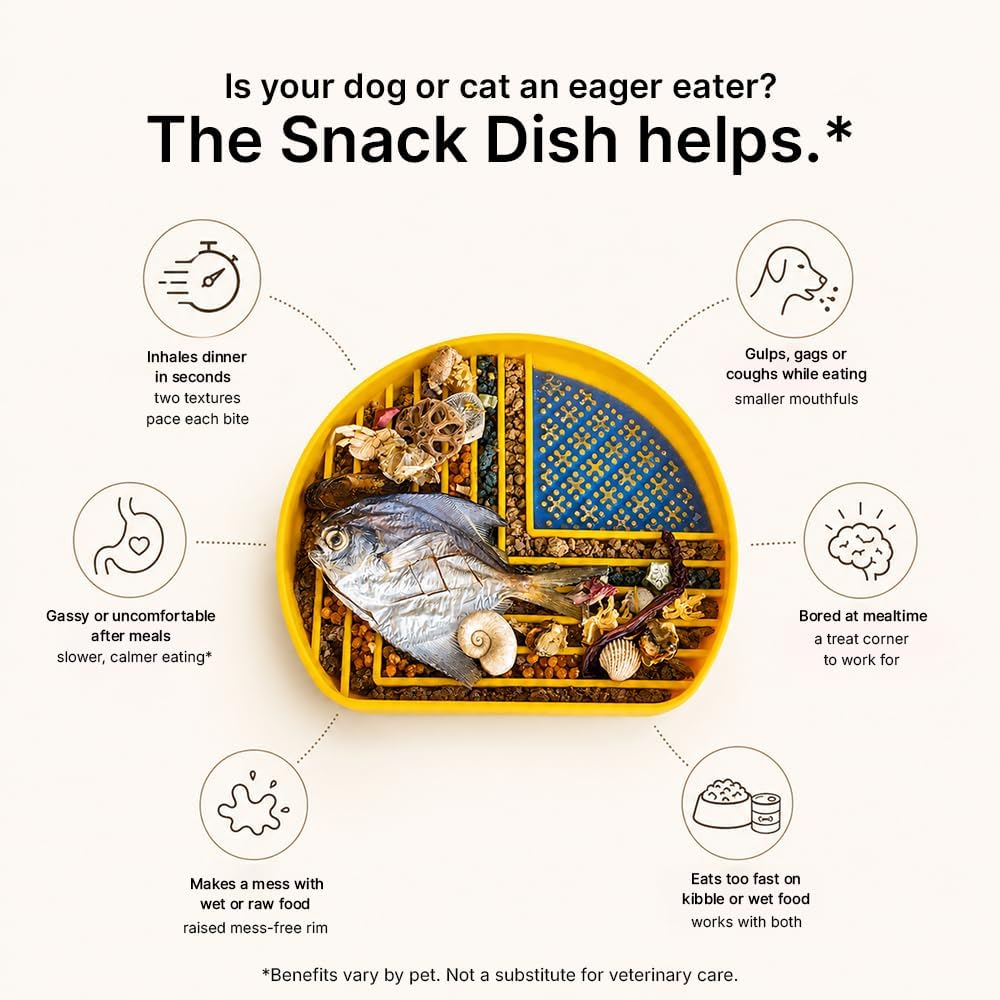 Snack Dish Slow Feeder Bowl for Dogs & Cats – Dual Pattern Design with Treat Corner, Mess-Free Feeding, Dishwasher Safe | Kubi Pets
