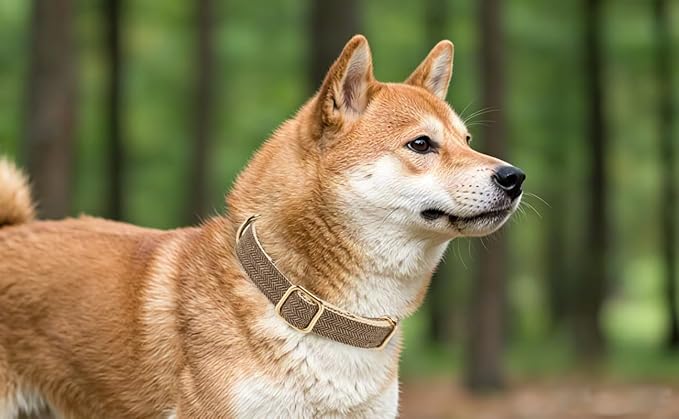 Soft Cotton Hemp Dog Collar with Metal Buckle Adjustable Tweed Dog Collars for Small Medium Large Dogs(Coffee,Medium)