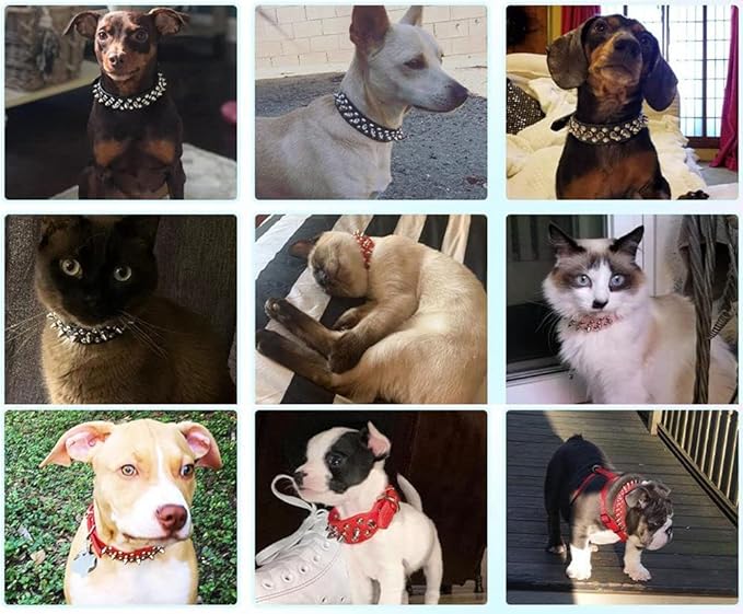 Spiked Dog Collar Soft Pu Leather Mushrooms Rivet Spike Studded Puppy Adjustable Pet Collars for Small Breeds (L, White)
