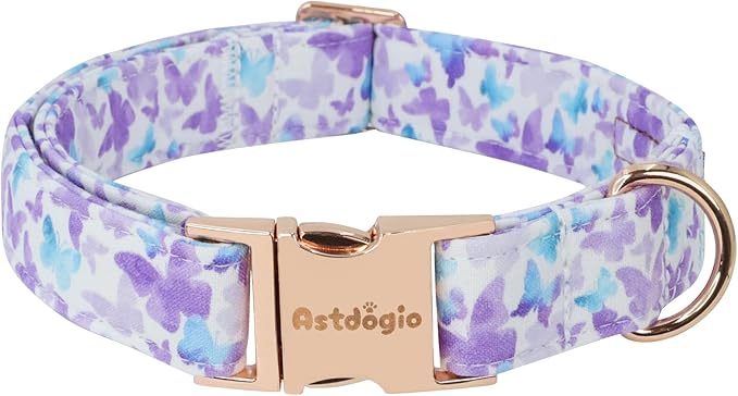 Elegant Butterfly Dog Collar, Gradient Purple Blue Dog Collars for Extra Small Dogs, Adjustable Dog Collar for Extra Small Dogs, Handmade Cotton Puppy Collar for Daily Walks-XS
