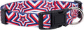 Native Pup American Flag Dog Collar- Red White and Blue- Patriotic Collars for 4th of July, USA- Adjustable Small, Medium, Large Breed Dogs (Large, Big Stars)