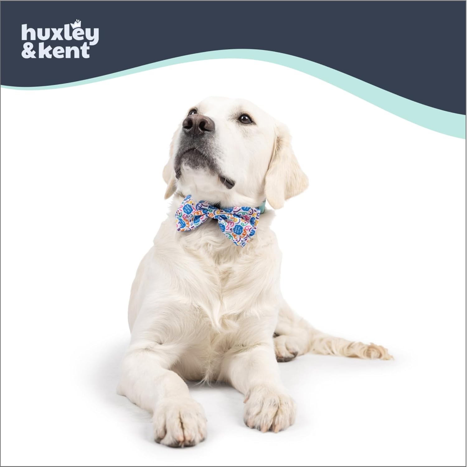 Huxley & Kent Pet Bow Tie for Dogs & Cats, Happy Got Me Day, Large/XLarge | Hook & Loop Attaches to Any Collar, Soft Polyester, Lightweight & Machine Washable, Perfect for Holidays & Photos