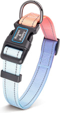 Roses&Poetry Reflective Dog Collar with Gradient Azure, Adjustable Durable Pet Collars for Small Medium Large Dogs (Azure-M)