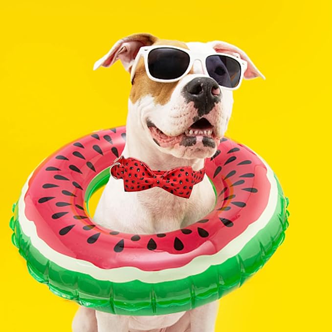 Lionheart glory Dog Collar, Watermelon Dog Collar with Bow, Summer Dog Bowtie Collar Cute Pet Collar Gift for X-Large Dog