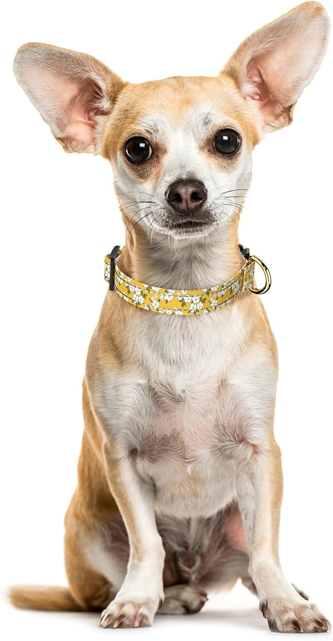Reflective Dog Collar for Extra Small Dogs, Cute Flower Theme Adjustable Heavy-Duty Nylon Puppy Collar for Boy and Girl Female, Soft Pet Accessories with Quick Release Buckle, Yellow