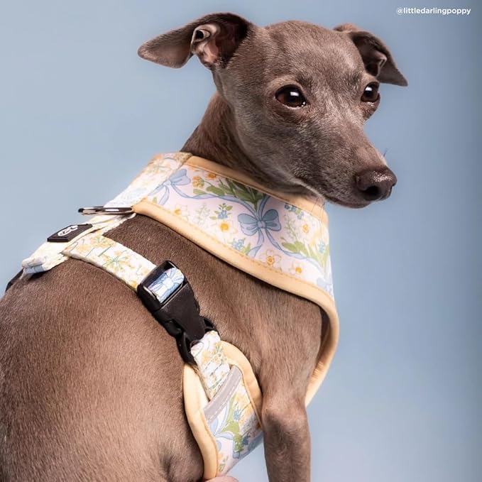 Lucy & Co. Sunshine and Daffodils Reversible Dog Harness, Adjustable Comfort Fit with Dual Leash Attachments, X-Large