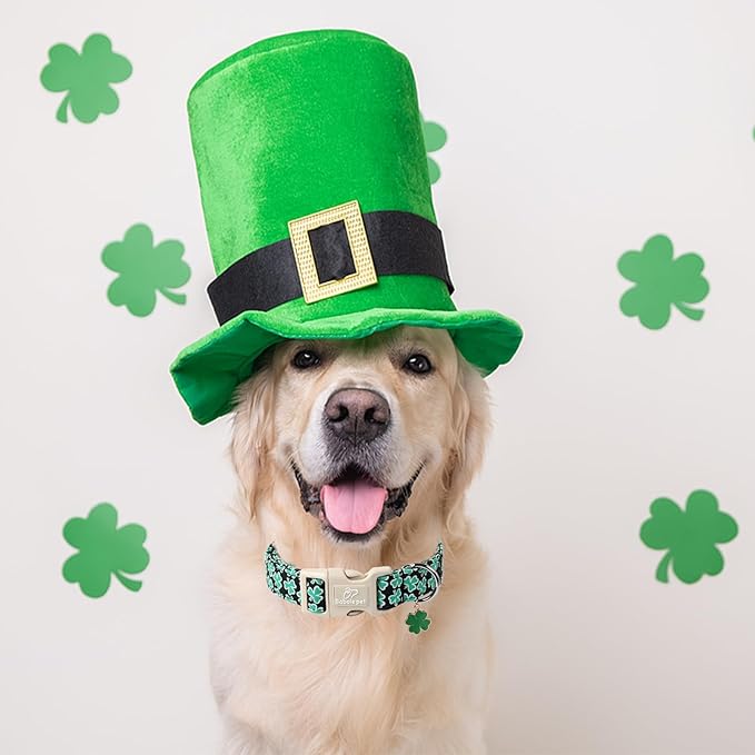 St Patricks Day Dog Collar for Giant Large Dogs - Green Lucky Shamrock Boy Dog Collars, Irish Clover Pattern Black Male Puppy Collar with Quick Release Buckle XL