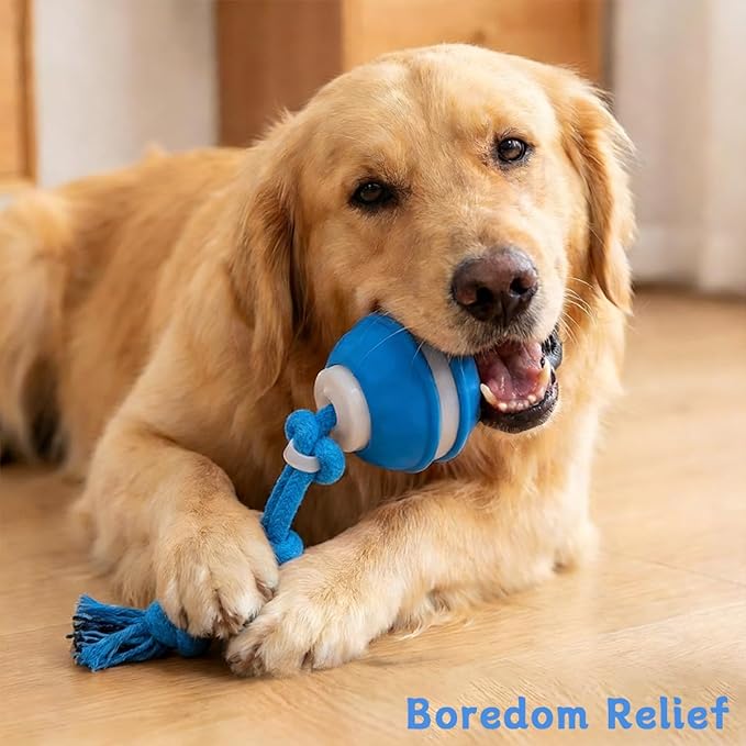 Zealburst Interactive Dog Toy, 360° Smart Automatic Rolling Moving Toy for Bored Dogs & Cats, Self-Moving Pet Toy, 【Orange+Blue】