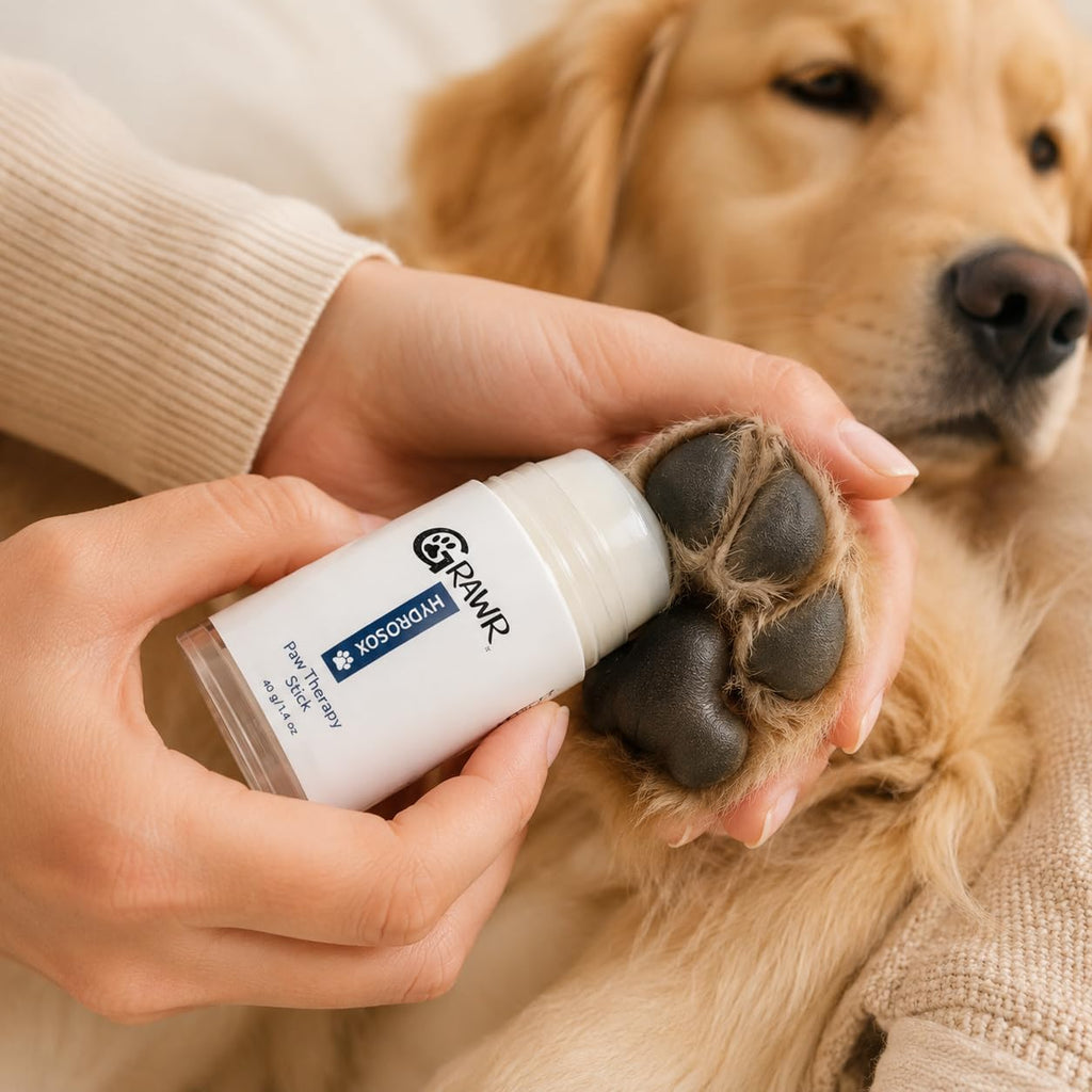 Dog Paw Spa Kit – Paw Balm & Moisturizing Dog Socks for Dry, Cracked Paw Pads – Anti-Lick Paw Protection with 4 Non-Slip Socks + Natural Therapy Stick (Medium)