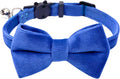 Cat Collar Breakaway with Bell and Removable Bow Tie Safety Buckle Velvet Adjustable 7-11 inches for Kitten Cats (Royal Blue)