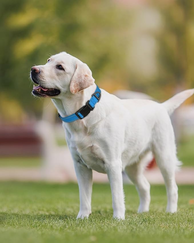 Joytale Reflective Dog Collar, Adjustable Nylon Pet Collar with Quick-Release Buckle for Medium Dogs, Sky Blue, M