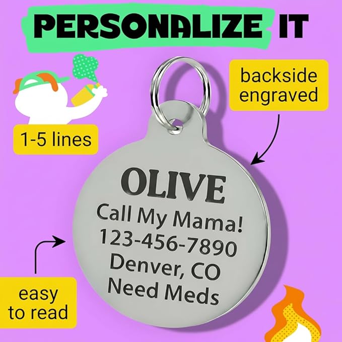 Bad Tags Personalized Dog and Cat ID Tags in 25+ Designs and 2 Sizes - 5 Lines of Custom Engraved Text - Funny Cute Personalized Pet Tags (Socially Impaired - Pink, Large (1.25 inch))