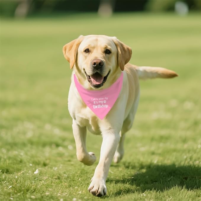 Let's Pawty It's My Birthday Dog Bandana, Happy Birthday Girl Dog Bandana, Pet Scarf Accessories for Dog's Party Dogs Lovers Gifts, Party Pet Photo Prop Accessories for Dogs Lovers