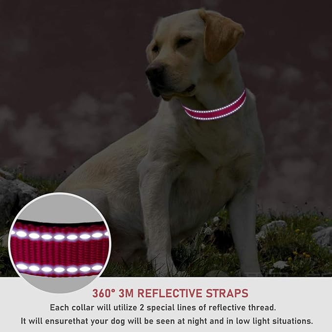 Reflective Dog Collar with Buckle Adjustable Safety Nylon Collars for Small Medium Large Dogs, Red XS