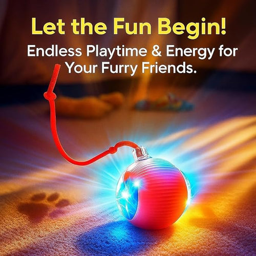 2026 New 2Pack Cat Ball Kitten Toys for Indoor Interactive Kitty Ball Toy Speedy Tail 360° Automatic Rolling Electric Moving Rechargeable,Smart Pet Chase with Rope for Bored Cats (RED & Blue) 2 Pcs