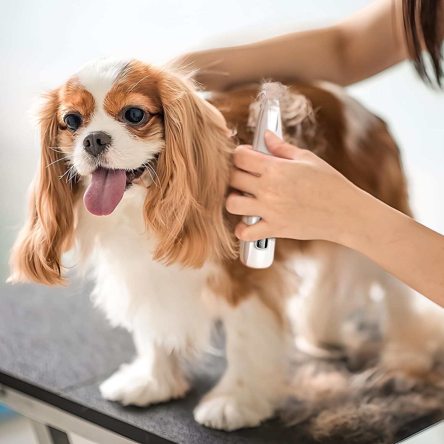 Pet MicroPrecision Trimmer, 2025 Upgraded Rechargeable Low Noise Cordless Dog Paw Trimmer with LED Light, Multifunctional Pet Hair Clippers for Paws Eyes Ears Face Rump (1)