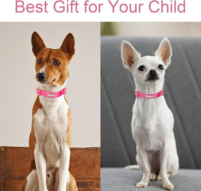 Nylon Dog Collar - Adjustable Rose Red Soft Webbing Dog Collars for Small Medium Large Dogs Boy Girl Puppy Collar with Safety Metal Buckle S