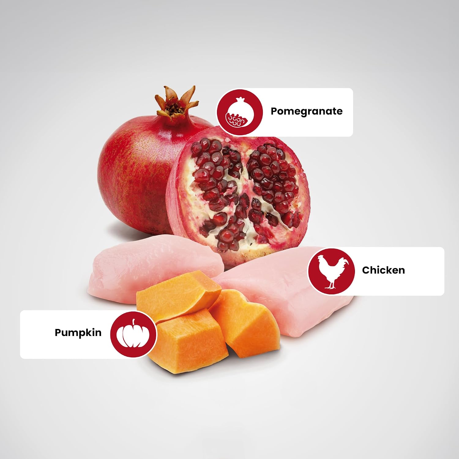 Pumpkin Chicken & Pomegranate Grain Free Mini Breed Dry Puppy Food by Farmina