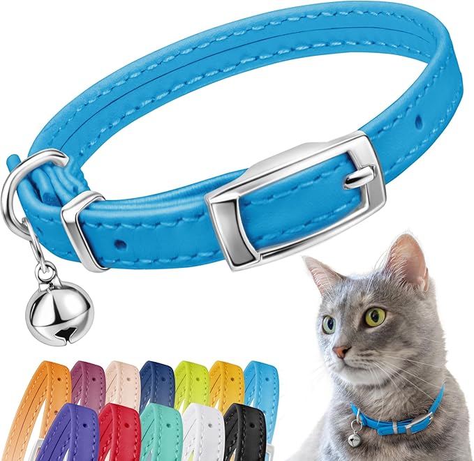 CollarDirect Leather Cat Collar with Bell - Kitten Collar, Small and Big Cat for Boy Cats, Girl Cats with Safety Elastic Strap (Neck Fit 8"-11", Light Blue)