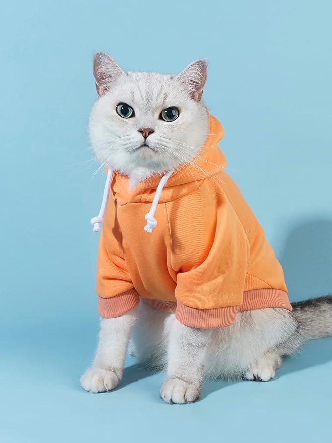 QWINEE Basic Dog Hoodie Sweatshirt Puppy Sweater Warm Cat Costumes Pet Clothes for Chihuahua Puppy Kitten Small Medium Dogs Orange X-Large