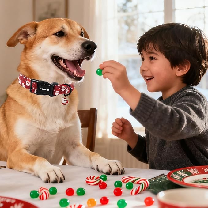 DOGWONG Christmas Dog Collar, Red Santa Claus Print Cute Dog Collars Winter Holiday Male Female Adjustable Dog Collar for Large Dogs