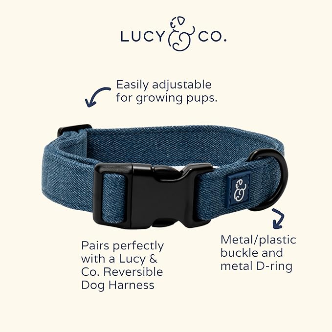 Lucy & Co. Dog Collar - Durable Lightweight Designer Collar for Pets - Adjustable Metal Safety Buckel. - Blue Denim - Small