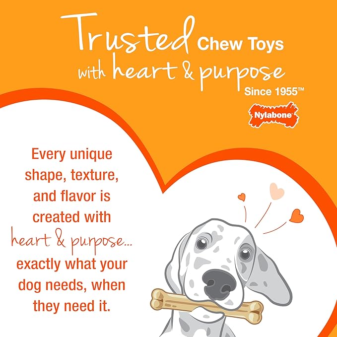 Nylabone New Puppy Starter Kit, 5 Chew Toys and 1 Natural Treat for Puppies, Multi Color, Bacon & Chicken Flavor, Small Dogs - Up to 25 lbs., 6 Pack