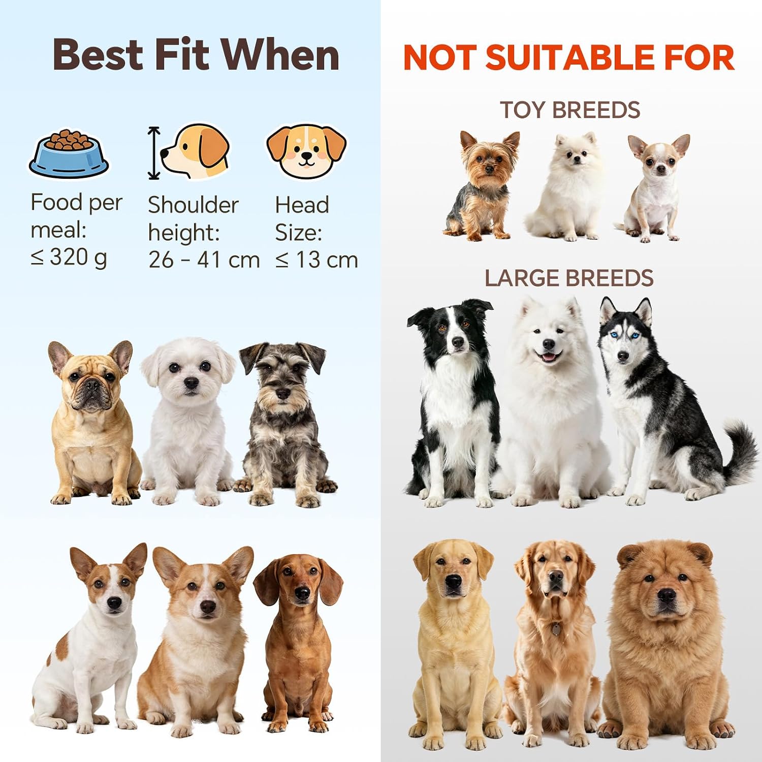 Elevated Ceramic Dog Bowl with Metal Stand - Raised Feeding Dish for Small and Medium Dogs - Ideal for Food or Water - Each Holds 600ml / 3.2 Cups (Approx. 320g) - White