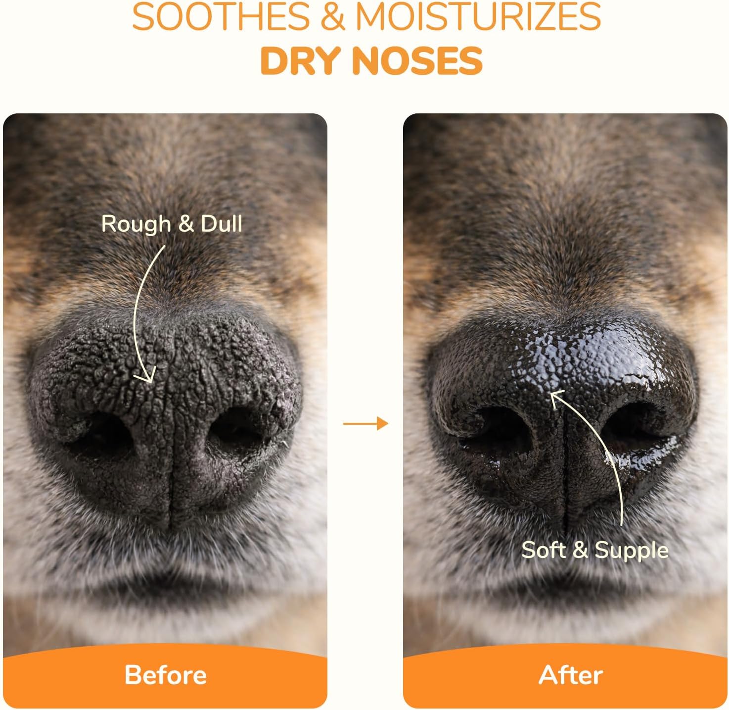 Lick-Safe Dog Paw & Nose Balm | 2.1 oz All Natural Wax with Coconut Oil | Summer Hot Pavement, Winter Snow & Road Salt Protector | Moisturizer for Dry, Rough Pads & Snouts
