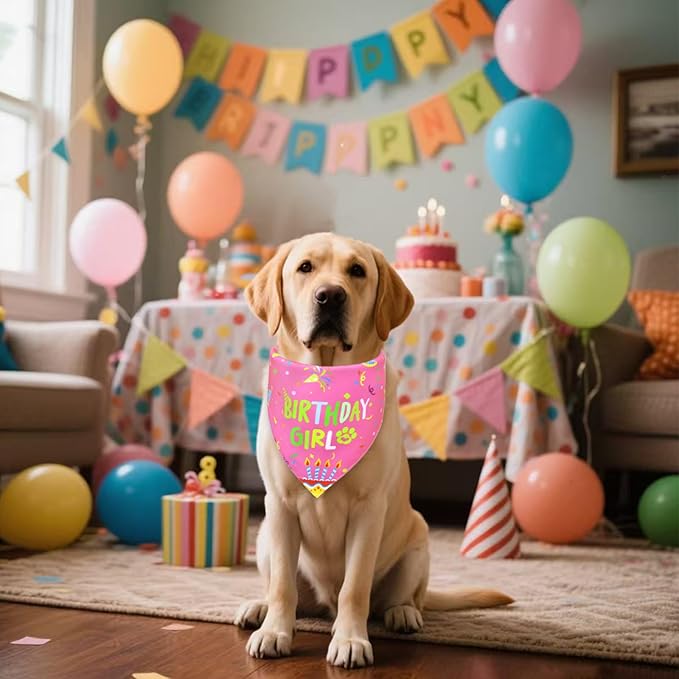 Dog Birthday Bandana Girl for Medium Large Dogs, Reversible 2 Patterns in 1, Pink Confetti Scarf, Happy Birthday Party Outfit Puppy Gift (14-18" Neck)